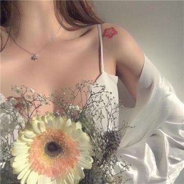 加拿大pc入口下载手机版截图